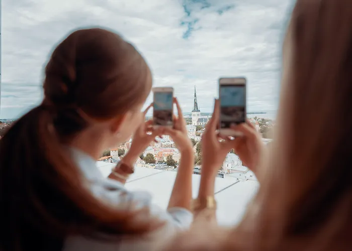 أوريجينال سوكوس فيرو تالين